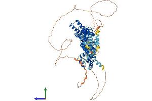 AlphaFold protein structure predicition of Mouse Recombinant Hcn3 Protein, UniprotID O88705