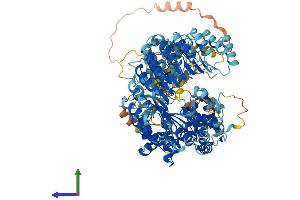 AlphaFold protein structure predicition of Human Recombinant NLRP2 Protein, UniprotID Q9NX02