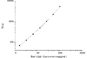 Typical standard curve (Lipocalin 2 Kit CLIA)