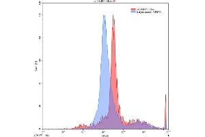 Detection of VEGFA in Chos line transfected with target gene using Polyclonal Antibody to Vascular Endothelial Growth Factor A (VEGFA)