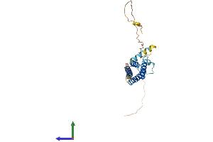 AlphaFold protein structure predicition of Human Recombinant CMTM2 Protein, UniprotID Q8TAZ6