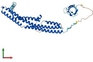 AlphaFold protein structure predicition of Human Recombinant SH3GL3 Protein, UniprotID Q99963
