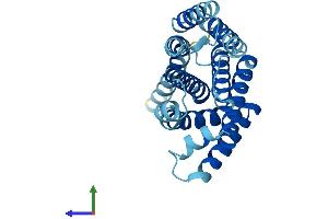 AlphaFold protein structure predicition of Human Recombinant TMEM101 Protein, UniprotID Q96IK0