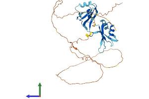 AlphaFold protein structure predicition of Mouse Recombinant Msi2 Protein, UniprotID Q920Q6