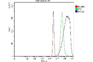 Flow Cytometry analysis of K562 cells using anti-RPL32 antibody (ABIN7602916). (RPL32 anticorps  (C-Term))