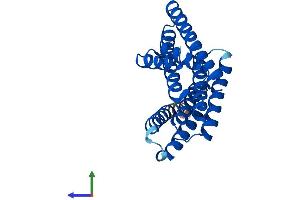 AlphaFold protein structure predicition of Mouse Recombinant Ywhaz Protein, UniprotID P63101