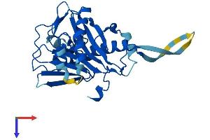 AlphaFold protein structure predicition of Mouse Recombinant Rsph9 Protein, UniprotID Q9D9V4