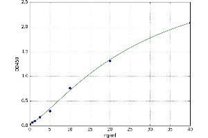 Soluble Endothelial Protein C Receptor (SEPCR) ELISA Kit