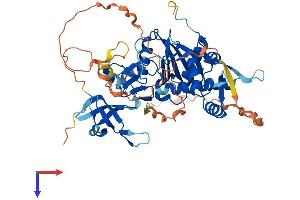 AlphaFold protein structure predicition of Human Recombinant KAT5 Protein, UniprotID Q92993