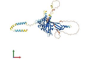AlphaFold protein structure predicition of Human Recombinant USP30 Protein, UniprotID Q70CQ3