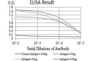 Black line: Control Antigen (100 ng),Purple line: Antigen (10 ng), Blue line: Antigen (50 ng), Red line:Antigen (100 ng) (ALDOA anticorps  (AA 9-145))
