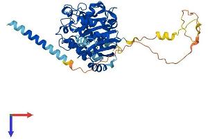AlphaFold protein structure predicition of Human Recombinant GXYLT1 Protein, UniprotID Q4G148