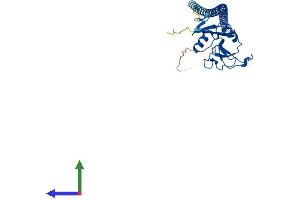 AlphaFold protein structure predicition of Human Recombinant ASGR1 Protein, UniprotID P07306