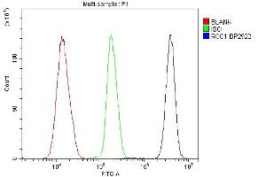 Flow Cytometry analysis of K562 cells using anti-RCC1 antibody (ABIN7600024). (RCC1 anticorps  (AA 14-421))