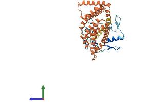 AlphaFold protein structure predicition of Human Recombinant ZNF781 Protein, UniprotID Q8N8C0