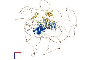 AlphaFold protein structure predicition of Human Recombinant OTUD4 Protein, UniprotID Q01804