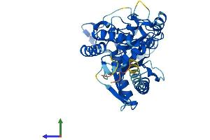 AlphaFold protein structure predicition of Human Recombinant MAB21L3 Protein, UniprotID Q8N8X9