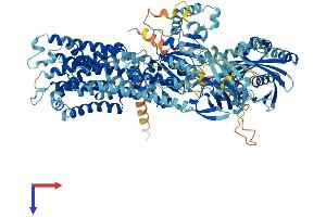 AlphaFold protein structure predicition of Human Recombinant ATP11A Protein, UniprotID P98196