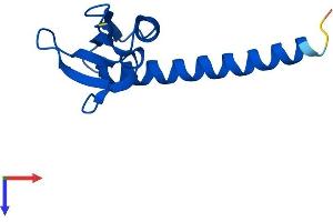 AlphaFold protein structure predicition of Mouse Recombinant Polr2j Protein, UniprotID O08740