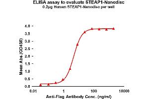 Elisa plates were pre-coated with Flag Tag ST-Nanodisc (0.
