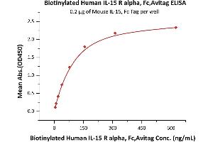 Immobilized Mouse IL-15, Fc Tag (ABIN6810037,ABIN6938879) at 2 μg/mL (100 μL/well) can bind Biotinylated Human IL-15 R alpha, Fc,Avitag (ABIN6731258,ABIN6809875) with a linear range of 10-156 ng/mL (Routinely tested). (IL15RA Protein (AA 31-205) (Fc Tag,AVI tag,Biotin))