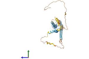 AlphaFold protein structure predicition of Human Recombinant GJA5 Protein, UniprotID P36382