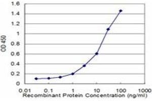 Detection limit for recombinant GST tagged CES2 is approximately 1ng/ml as a capture antibody. (CES2 anticorps  (AA 514-621))