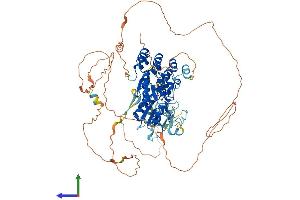 AlphaFold protein structure predicition of Human Recombinant BARD1 Protein, UniprotID Q99728