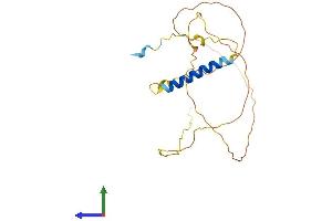 AlphaFold protein structure predicition of Human Recombinant GAP43 Protein, UniprotID P17677