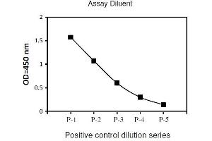 Image no. 2 for cAMP Responsive Element Binding Protein 1 (CREB1) ELISA Kit (ABIN1981714)