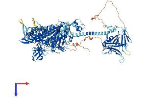 AlphaFold protein structure predicition of Mouse Recombinant Myo1f Protein, UniprotID P70248