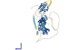 AlphaFold protein structure predicition of Mouse Recombinant Kcnh1 Protein, UniprotID Q60603