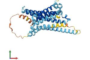 AlphaFold protein structure predicition of Human Recombinant MC1R Protein, UniprotID Q01726