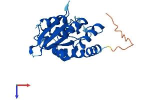 AlphaFold protein structure predicition of Human Recombinant APOBEC3H Protein, UniprotID Q6NTF7