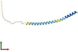 AlphaFold protein structure predicition of Mouse Recombinant Fate1 Protein, UniprotID Q8CEK7