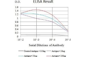 Black line: Control Antigen (100 ng),Purple line: Antigen (10 ng), Blue line: Antigen (50 ng), Red line:Antigen (100 ng) (TIM3 anticorps  (AA 224-301))