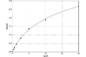 A typical standard curve