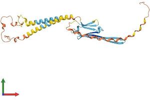 AlphaFold protein structure predicition of Human Recombinant ODF1 Protein, UniprotID Q14990