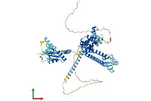 AlphaFold protein structure predicition of Mouse Recombinant Nop56 Protein, UniprotID Q9D6Z1
