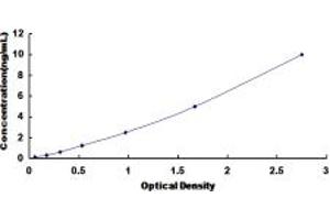 Typical standard curve (Presenilin 2 Kit ELISA)