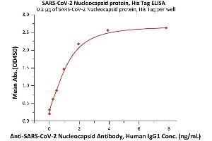 SARS-CoV-2 Nucleocapsid (SARS-CoV-2 N) protein (His tag)