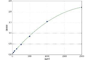 Chemokine (C-X-C Motif) Receptor 2 (CXCR2) ELISA Kit