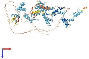 AlphaFold protein structure predicition of Human Recombinant ZNF816 Protein, UniprotID Q0VGE8