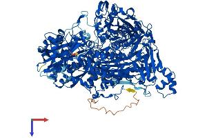 AlphaFold protein structure predicition of Mouse Recombinant Aox1 Protein, UniprotID O54754