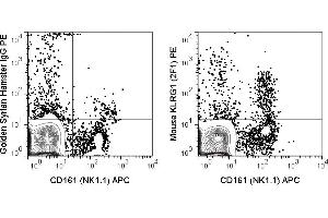 C57Bl/6 splenocytes were stained with APC Anti-Mouse NK1. (KLRG1 anticorps  (PE))