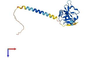 AlphaFold protein structure predicition of Human Recombinant KLRF2 Protein, UniprotID D3W0D1