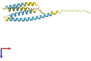 AlphaFold protein structure predicition of Human Recombinant CMTM1 Protein, UniprotID Q8IZ96