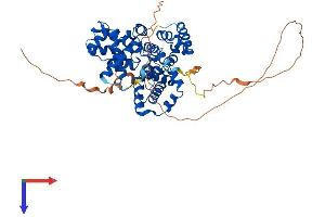 AlphaFold protein structure predicition of Mouse Recombinant Tbc1d10a Protein, UniprotID P58802