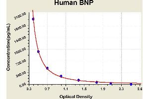 Diagramm of the ELISA kit to detect Human BNPwith the optical density on the x-axis and the concentration on the y-axis. (BNP Kit ELISA)