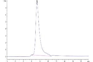 The purity of Biotinylated Human GFRAL is greater than 95 % as determined by SEC-HPLC.